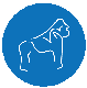 Beringei logo